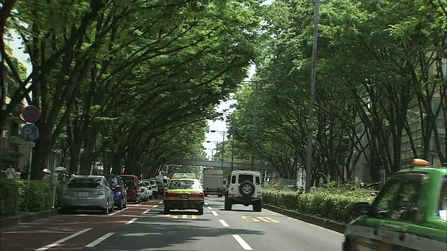 东京表参道街的交通状况视频素材