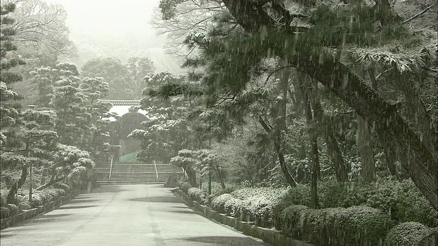 降雪在京都视频素材