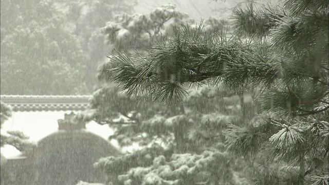 降雪在京都视频素材