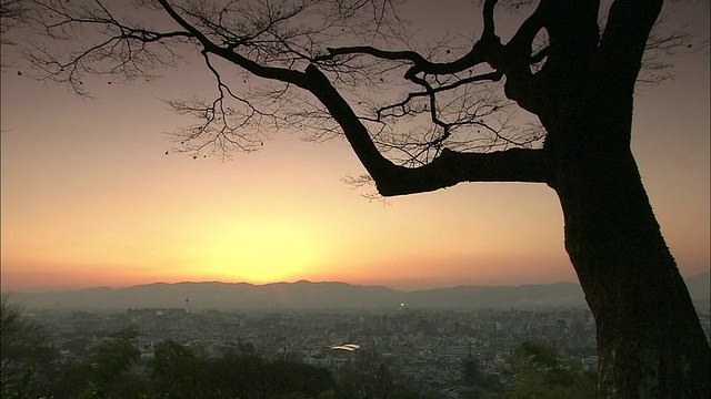 京都的冬日日落视频素材