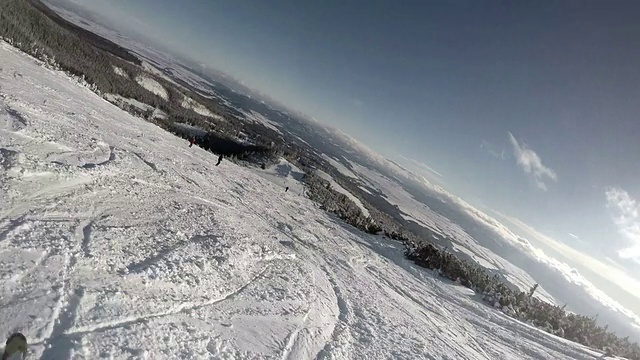 滑雪者从白雪覆盖的森林里的一座小山上下山视频素材