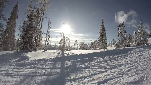 滑雪者在白雪覆盖的森林里下山视频素材