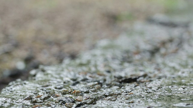 小雨打在混凝土视频素材