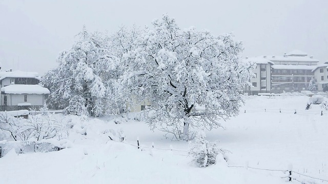 班斯科下大雪视频素材