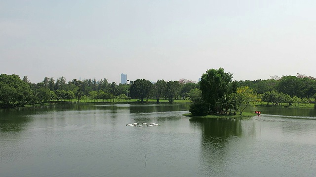 公园的夏季景观视频素材