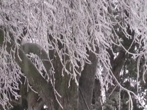 冰雪风暴的伤害视频素材