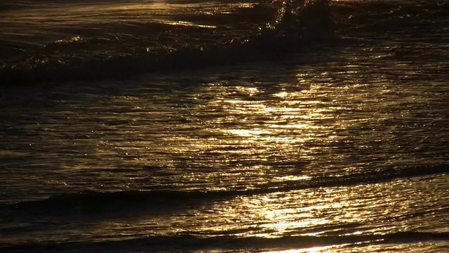 日出时海浪轻轻冲上海滩(高清)视频素材