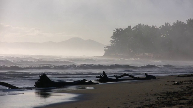 日出前海浪冲上多雾的海滩(高清)视频素材