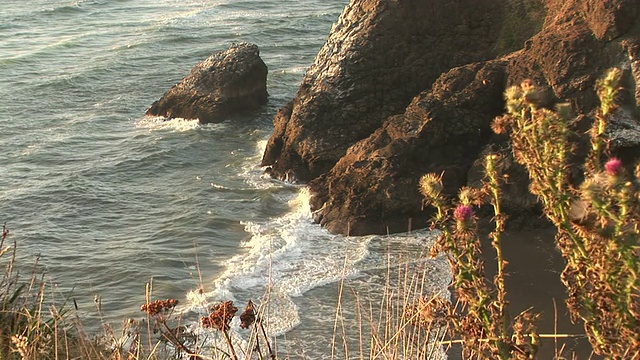 华盛顿海岸视频素材