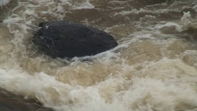 水流中的岩石(HD 1080i/50)视频素材