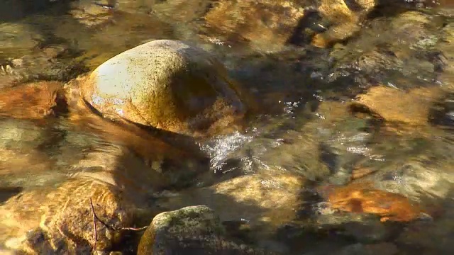 流3视频下载