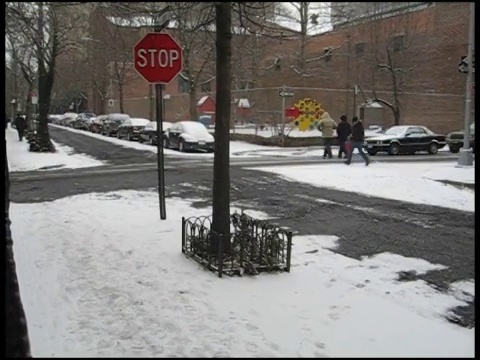 雪在布鲁克林视频下载