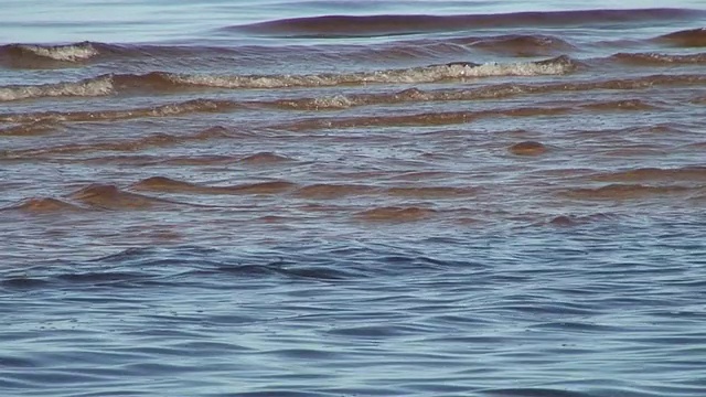 近岸海浪1视频素材