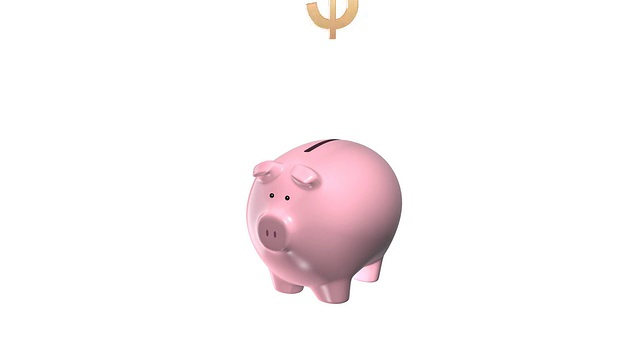 Piggy $ bank(高清25fps + Alpha)视频素材