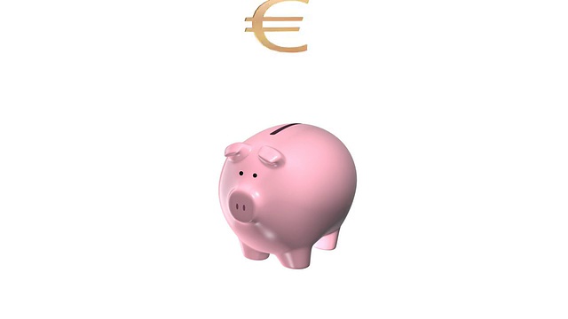 Piggy EURO bank(高清25fps + Alpha)视频素材