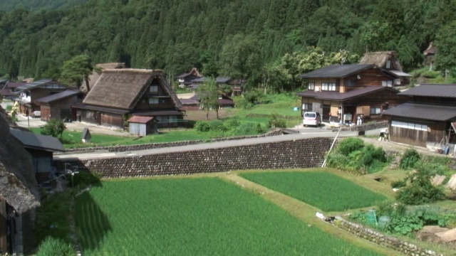 树木和建筑物的高角度视图视频素材