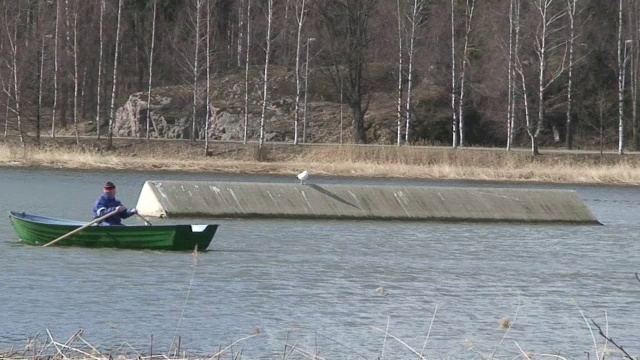 在海湾里划船视频素材