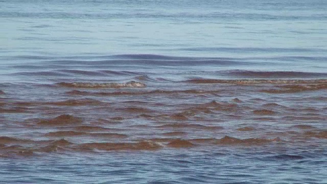 近岸海浪8视频素材