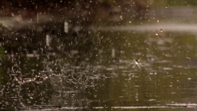 雨水飞溅视频下载