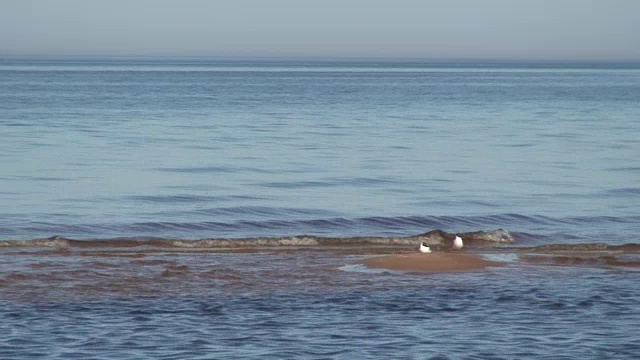 靠近海岸的小沙岛视频素材