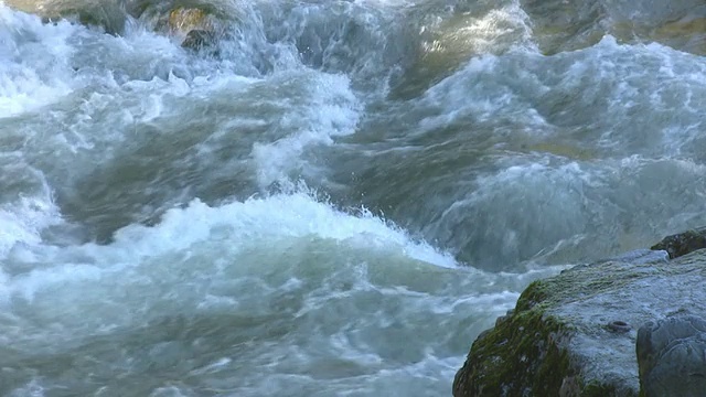 加拿大温哥华的河流视频素材