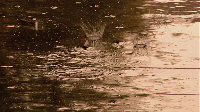 雨水溅2视频下载