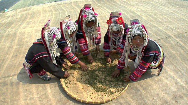 排序茶视频素材