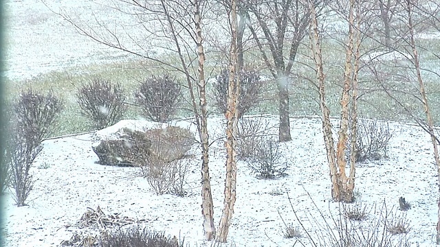 风景如画的降雪视频素材