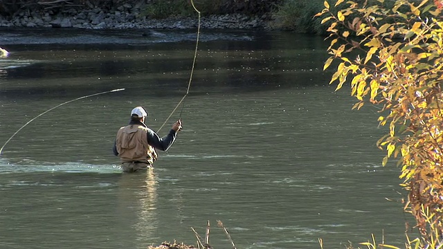 飞fishing-Closeup视频素材