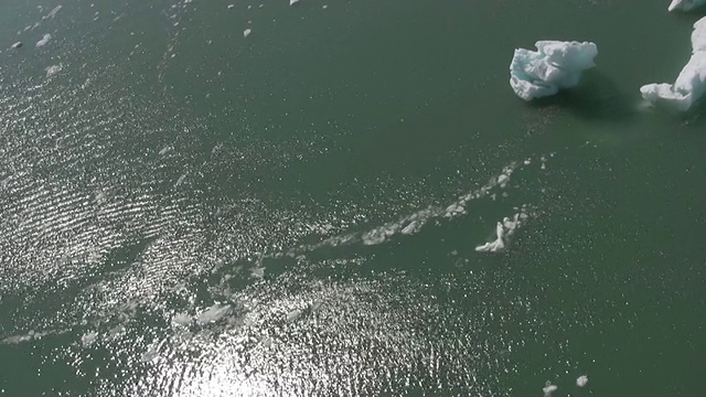 在阳光明媚的水域中漂浮的冰川——高清视频下载