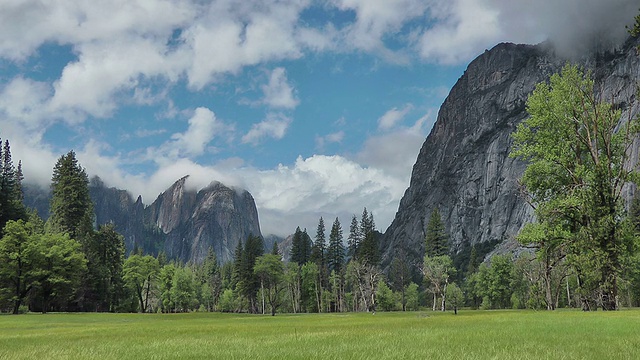 约塞米蒂山谷的草地视频下载