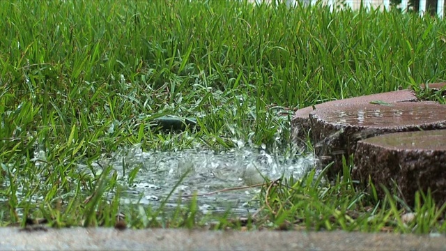 在雨中淌水坑视频下载