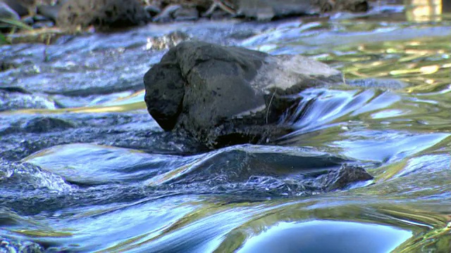 山溪中的水流形成小急流视频素材