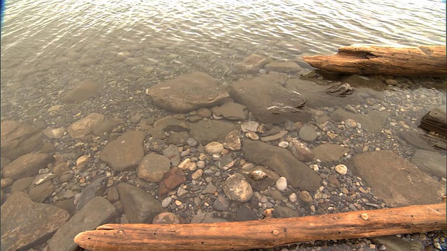 落基山湖岸视频素材