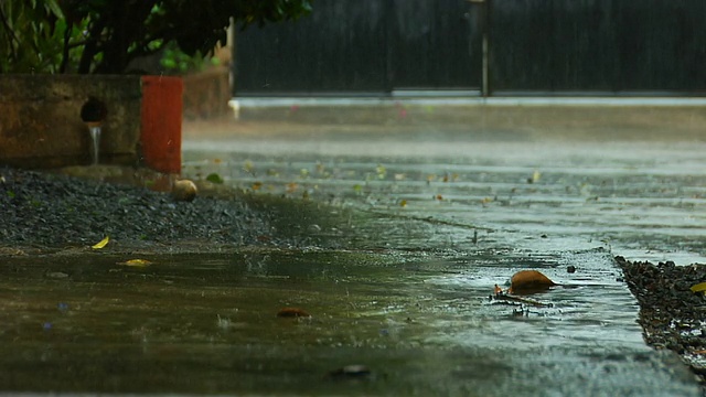 滴雨视频下载