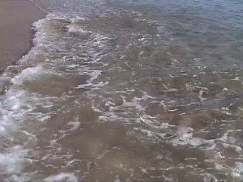 夏天海滩波涛汹涌视频素材