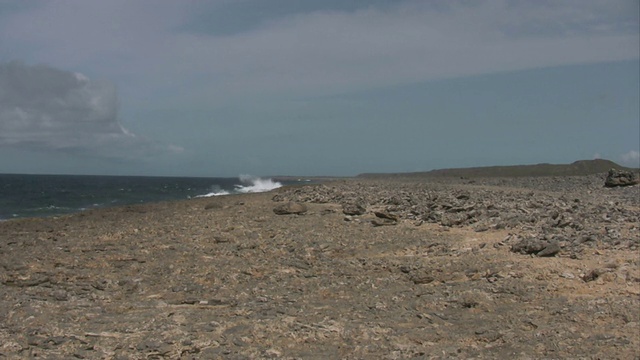 库拉索岛3号岛北侧的狂暴大海视频素材