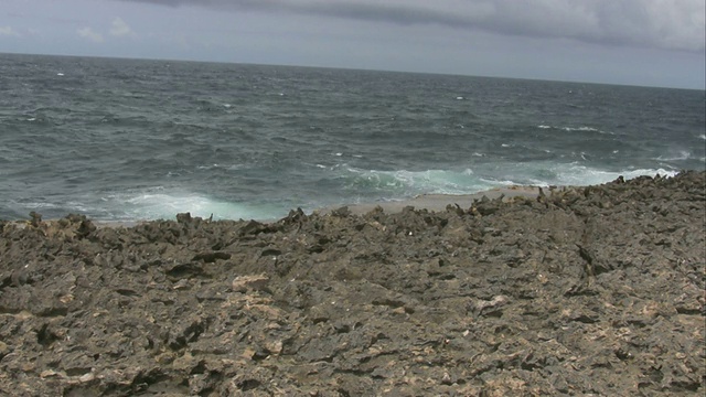 狂野的加勒比海库拉索岛北侧视频素材