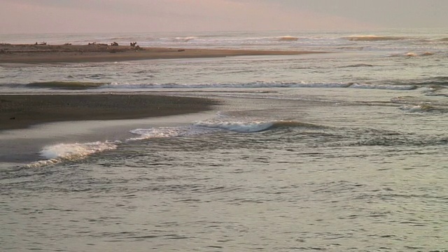 海岸视频素材