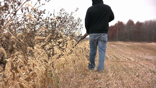 带着枪穿过田野的人视频素材