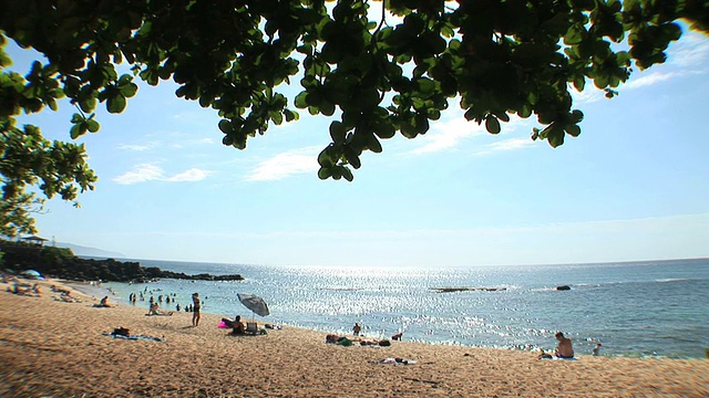 夏威夷的海滩视频素材