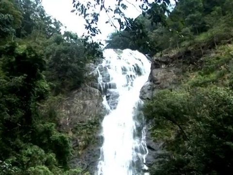 瀑布在山视频素材