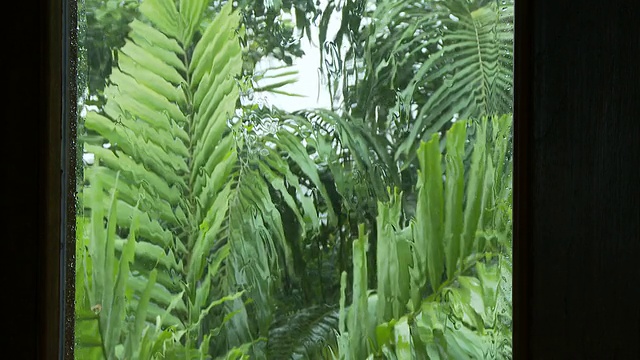 多雨的天气视频下载