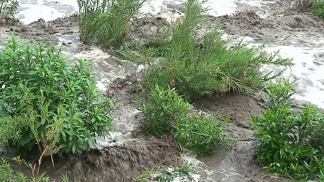 马拉维:热带暴雨过后，河水泛滥视频素材