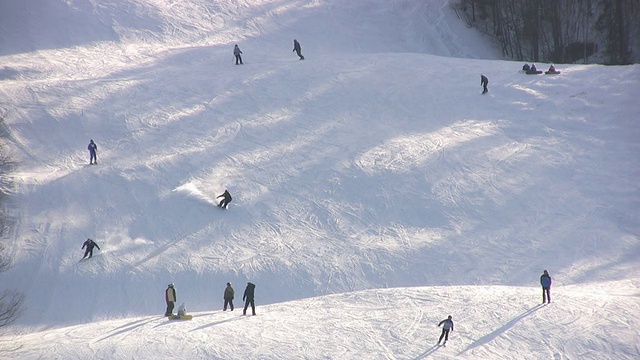 滑降滑雪视频下载