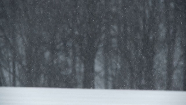 漂亮的雪和模糊的背景视频素材