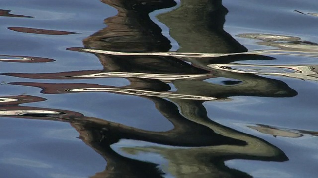 摘要水4视频下载