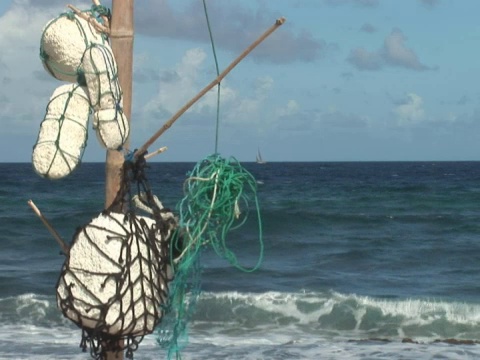 浮木和帆船视频素材