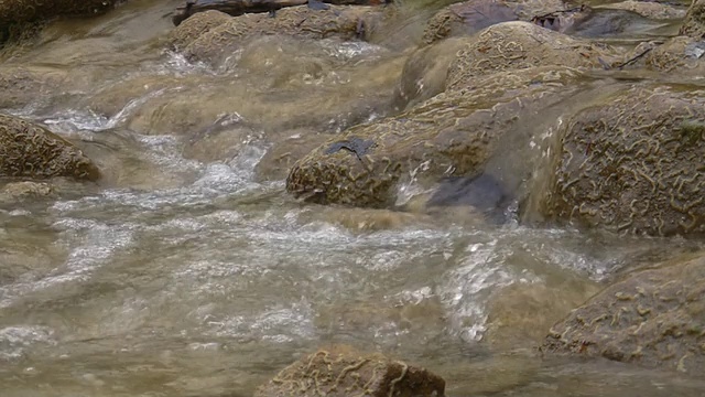 高山流水视频素材