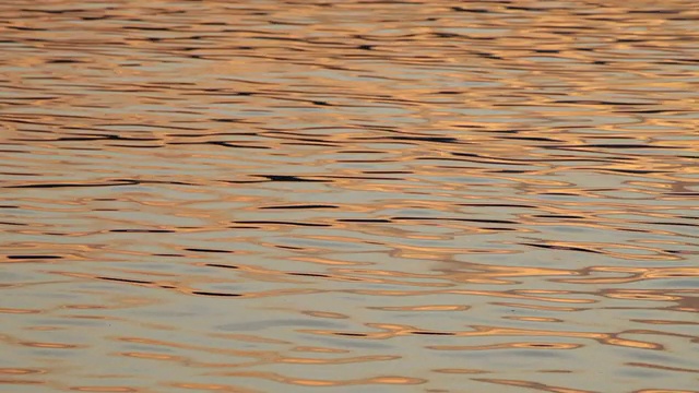 湖水的波浪视频下载